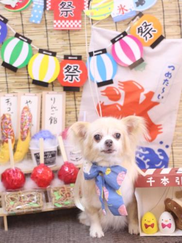 20240721チャッピーちゃん